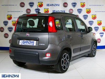 Fiat Panda 1.0 70cv Hybrid S.s Easy 5p., Anno 2021, KM 16264 - foto principal