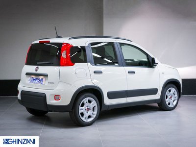 FIAT Panda 1.0 hybrid Easy s&s 70cv, Anno 2020, KM 34365 - foto principal