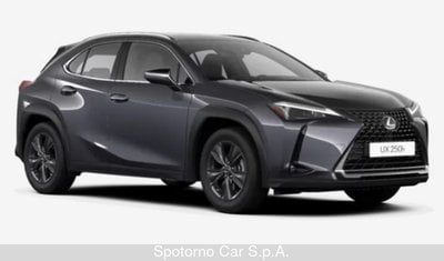 Lexus RX Hybrid Luxury, Anno 2020, KM 106090 - foto principal